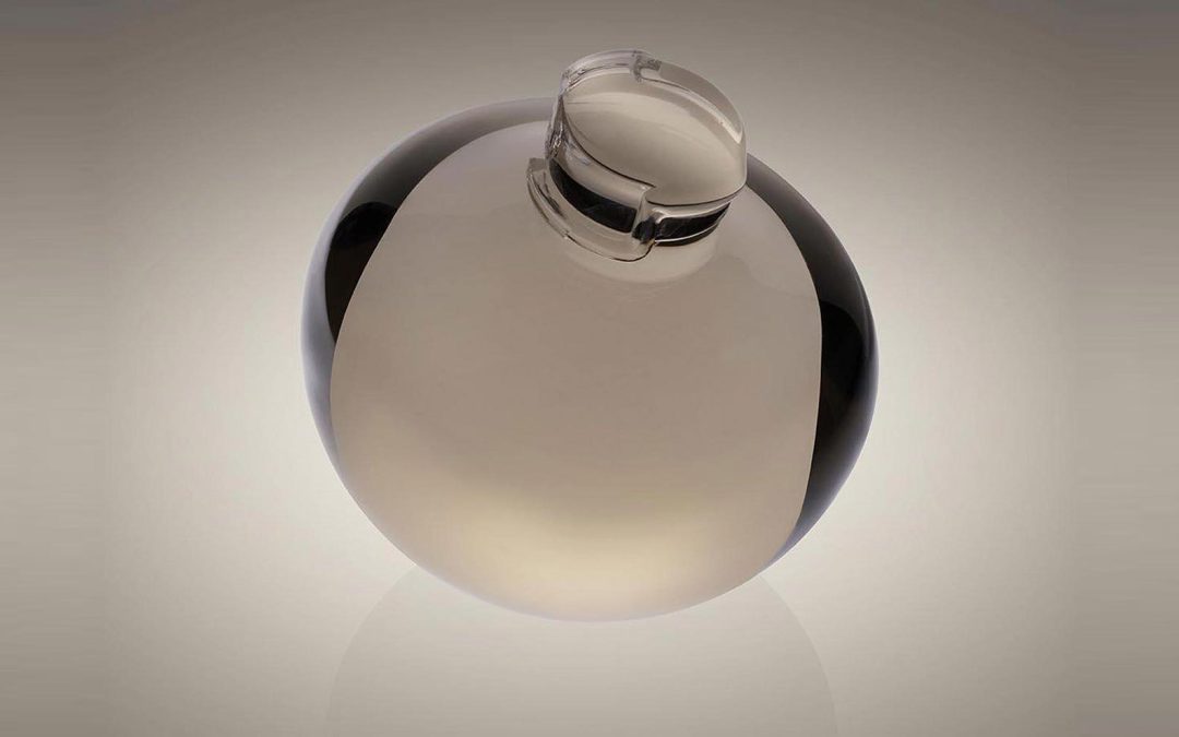 Caboche Plus